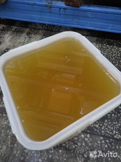 Свежий натуральный липовый мёд Только опт