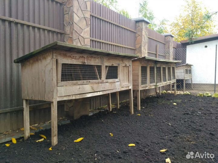 Клетки для кроликов и птицы