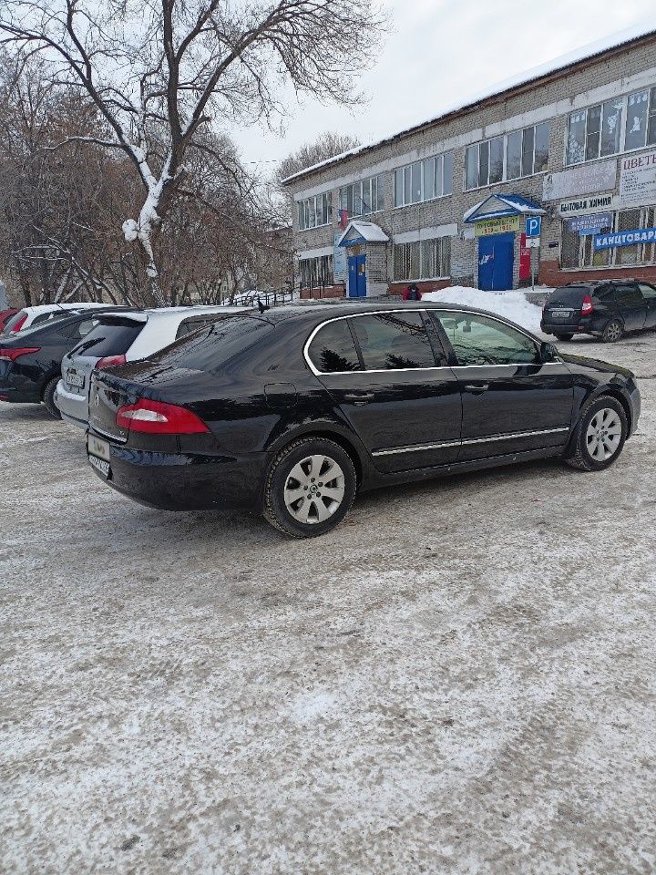 Skoda Superb: фото владельца