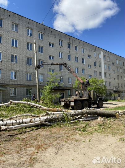 Вывоз спиленных деревьев