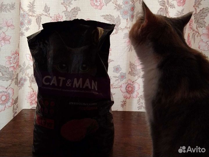 Корм для кошек, сухой