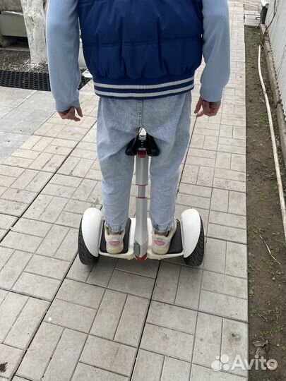 Гироскутер segway