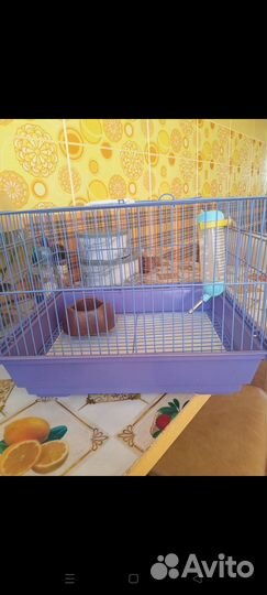 Клетка
