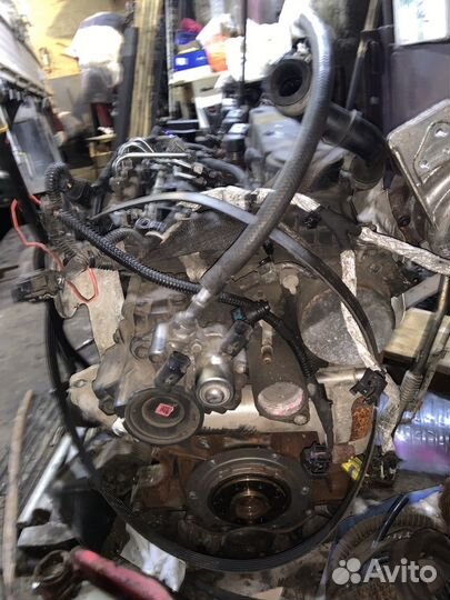 Двигатель на ford transit дизель