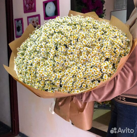 Цветочный Подарок. Ромашки в Букетах