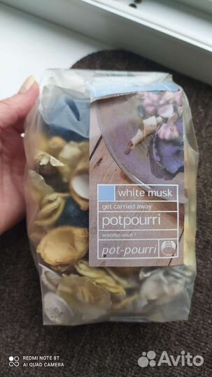 Сухоцветы и ракушки для творчества (набор)