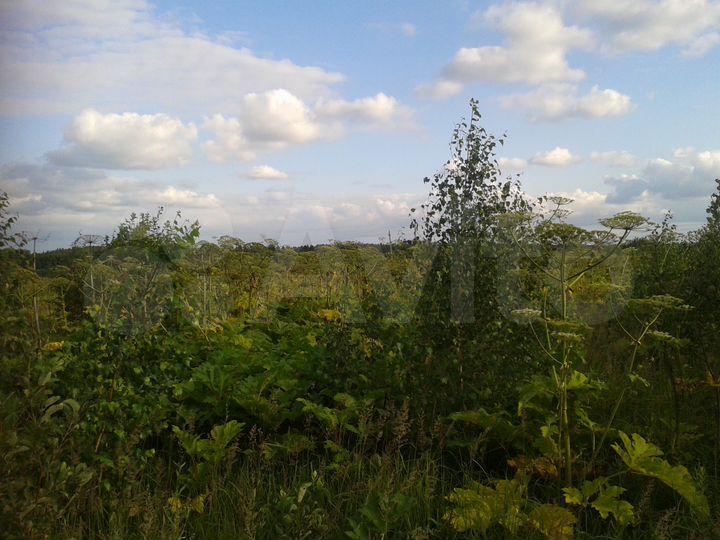 Участок 7 га (СНТ, ДНП)