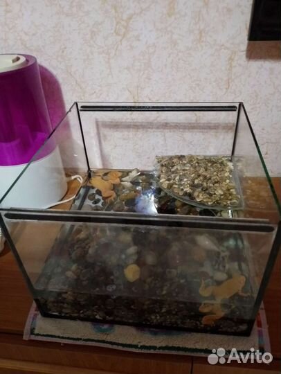 Аквариум