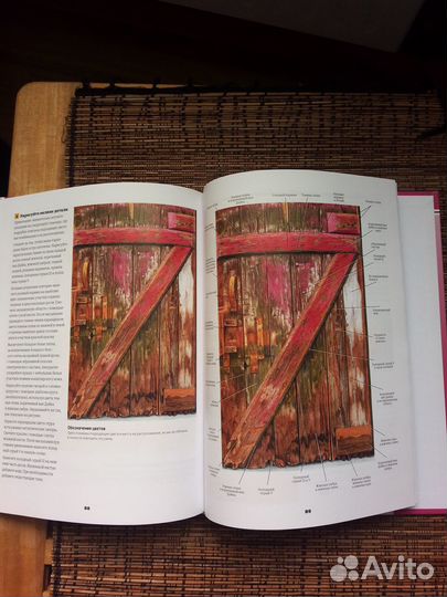 Рисуем реалистичные картины цветными карандашами