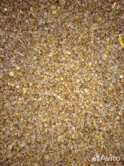 Продам гречиху