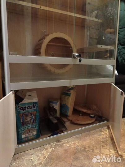 Витрина для дегу, белок и др. не крупных грызунов