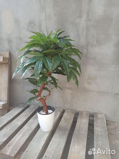 Искуственное дерево