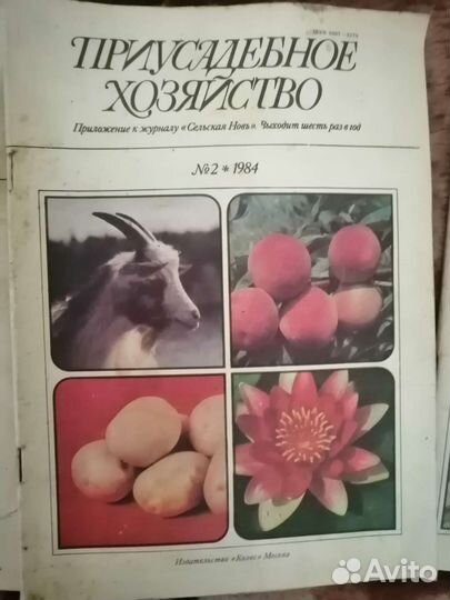 Журнал приусадебное хозяйство
