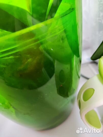 5 шт. Кашпо для орхидей и 1 орхидея