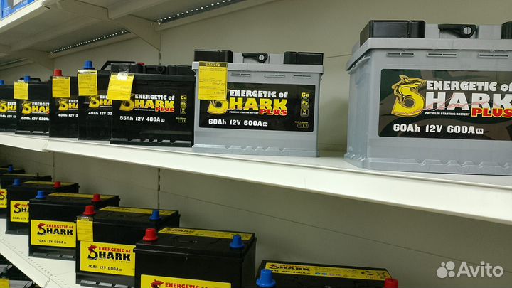 Energetic OF shark plus 55 Ah