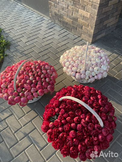 Букет пионов. Букет 101 пиона