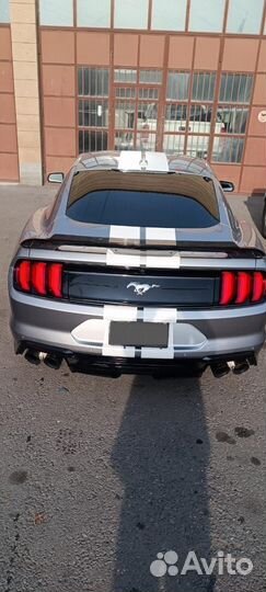 Ford Mustang 2.3 AT, 2022, 22 000 км