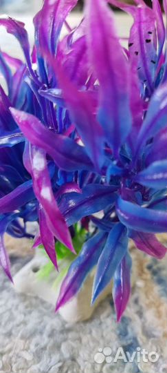 Искусственные водоросли