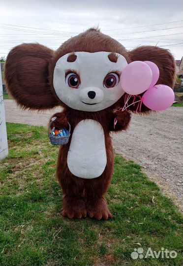 Аниматоры/Поздравления/Ростовые куклы