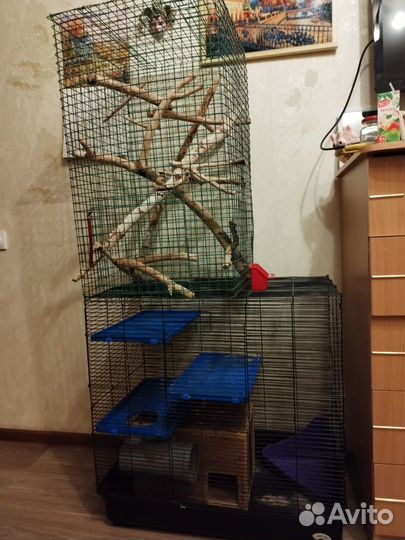 Клетка для шиншиллы бу