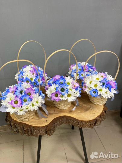 Хризантема