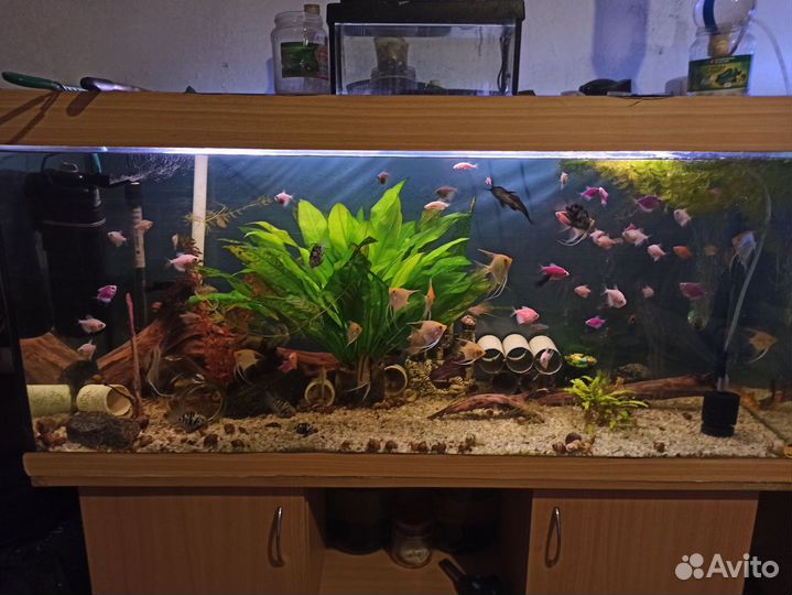 Аквариум