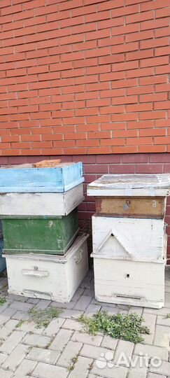 Ульи дадан 12 рамочные