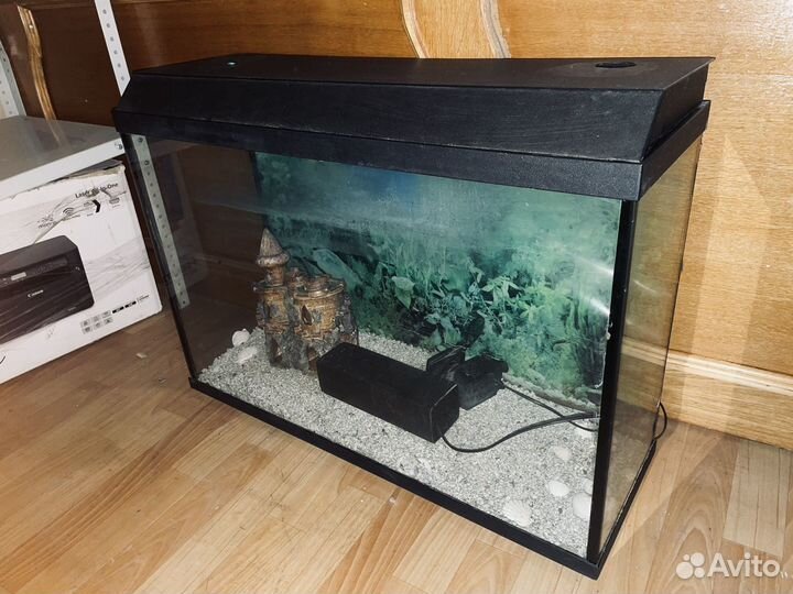 Аквариумные рыбки