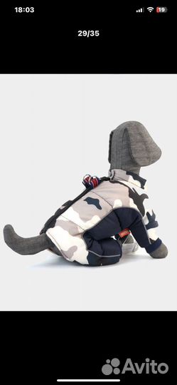 Одежда для средних собак