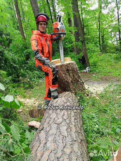 Расчистка участка от деревьев и кустарников