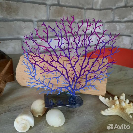 Горгонария для аквариума