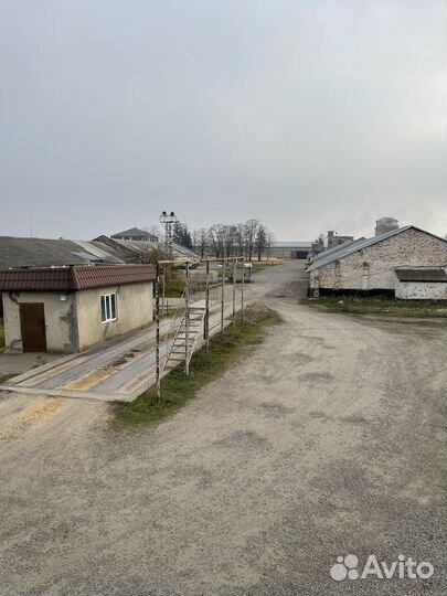 Сушилка и склады