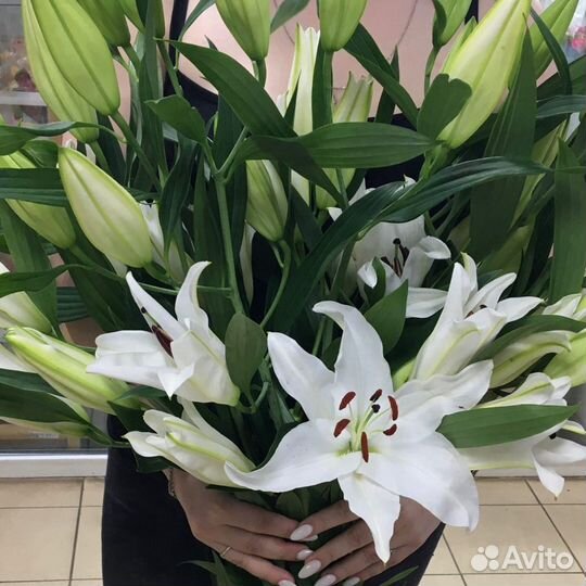 Букет из 5 лилий. Доставка