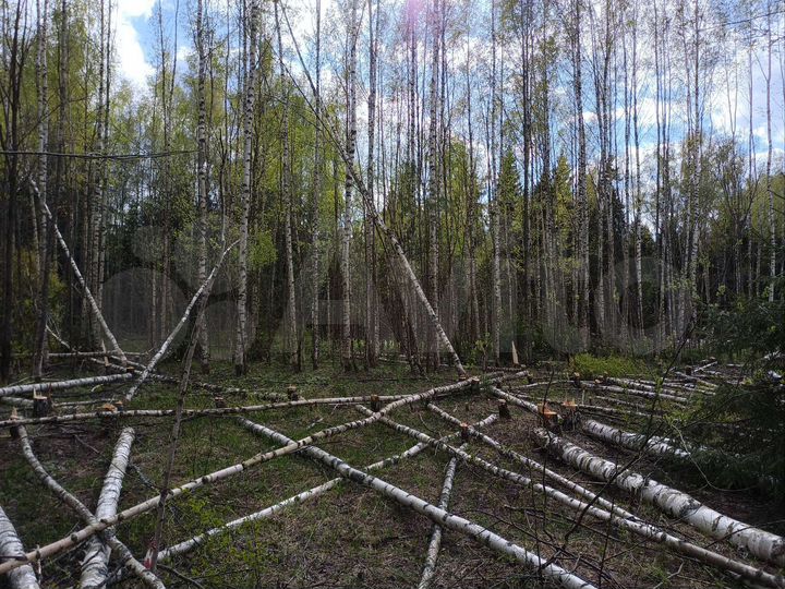 Участок 13 сот. (ИЖС)