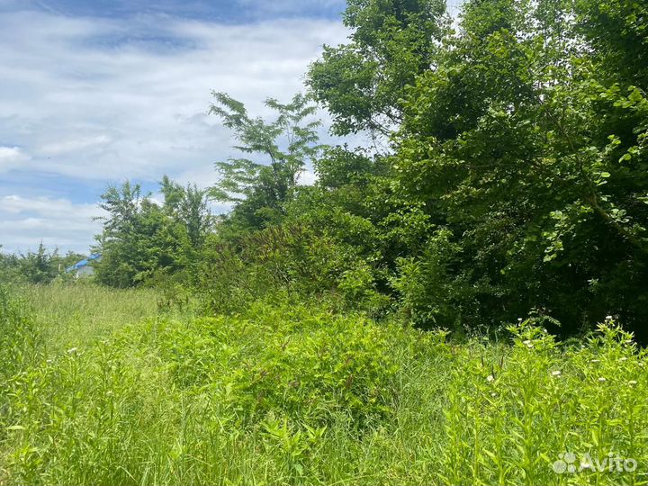 Расчистка участка,дробление веток