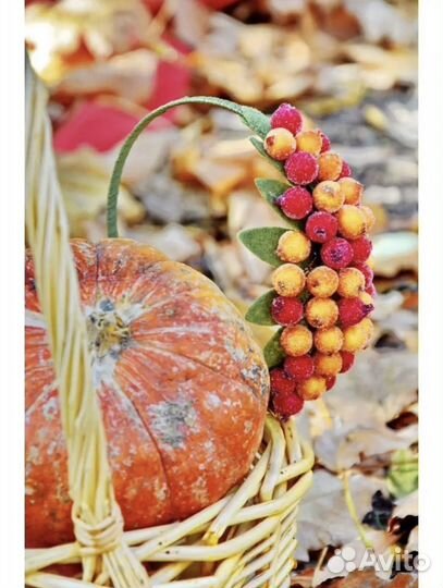 Ободок осенний