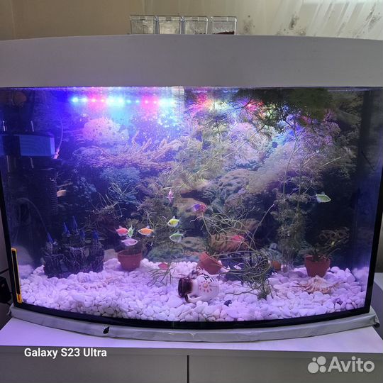 Аквариум с рыбками