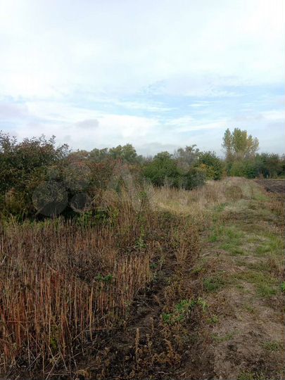 Участок 15 сот. (ИЖС)