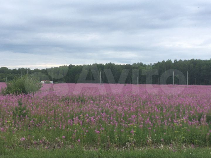 Участок 10 сот. (ИЖС)