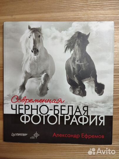 Современная черно - белая фотография (А. Ефремов)