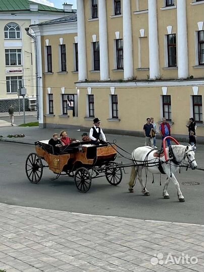 Конные прогулки по Суздалю