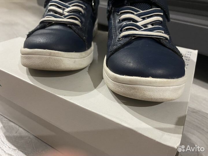 Кеды для мальчика geox 30 размер кожаные