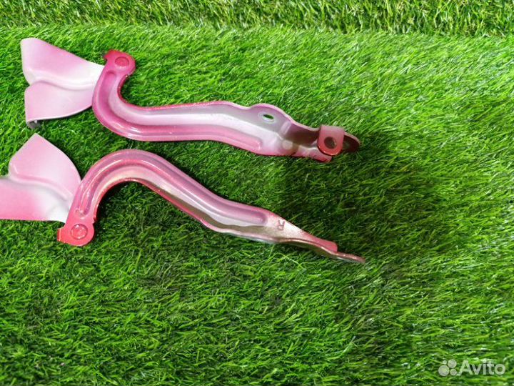 Петля капота Nissan Dayz B21A