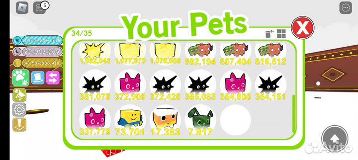 Pet Simulator