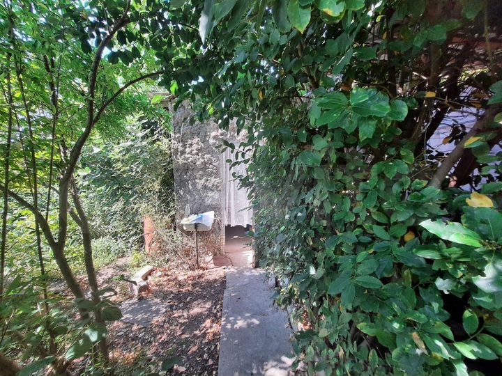 Участок 4,6 сот. (СНТ, ДНП)