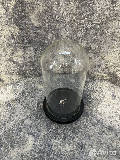 Стеклянный купол