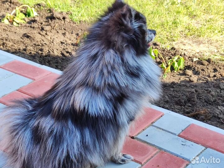 Вязка кабель