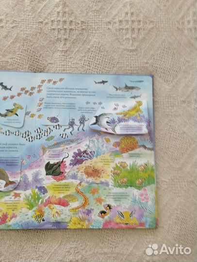 Открой тайны подводного мира. Книга изд.Робинс