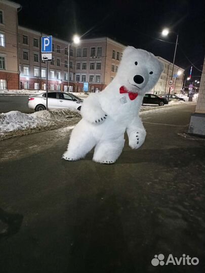 Белый медведь аниматор