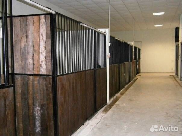 Постой лошадей. Гатчинский район